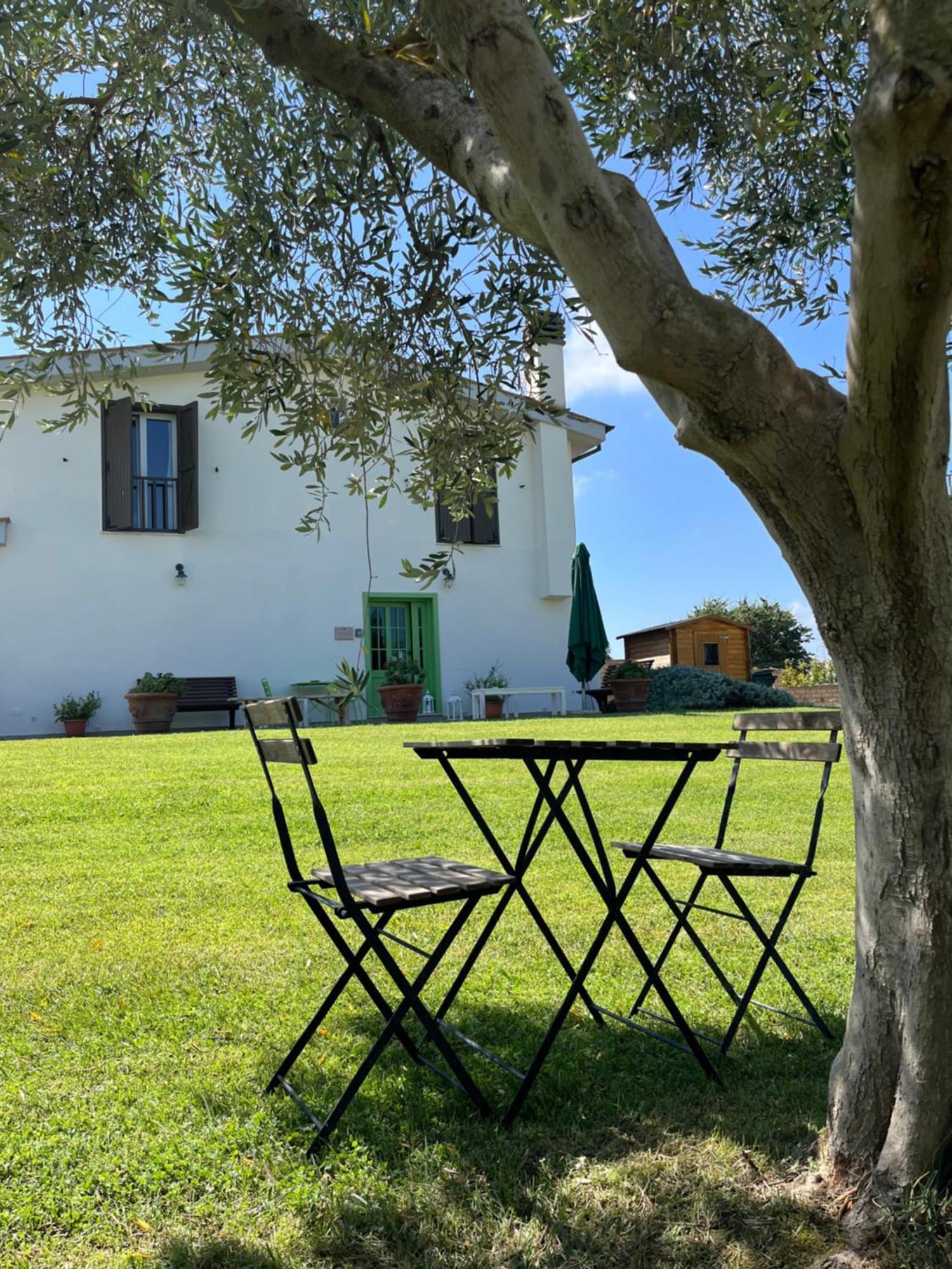 Bed And Breakfast Country Cottage Civitavecchia Kültér fotó